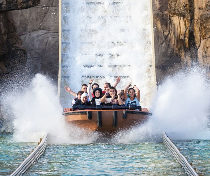 Theme Park Safety