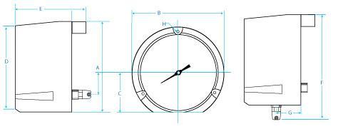 PBT Pressure Gauge by Rhomberg configurations