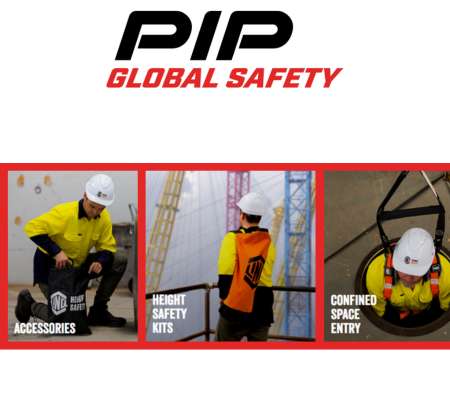 PIP Global Safety